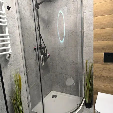Loft Πόζναν